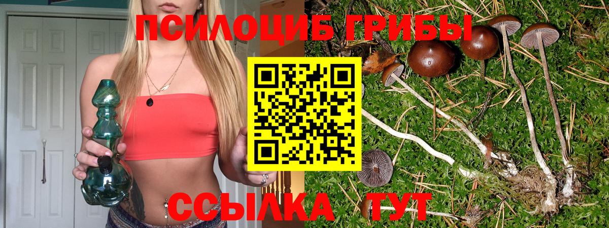 Псилоцибиновые грибы Magic Shrooms  Псилоцибиновые грибы Magic Shrooms  Большой Камень  Вход с VPN 